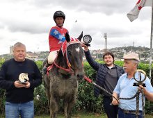Corridas 29.05.2025